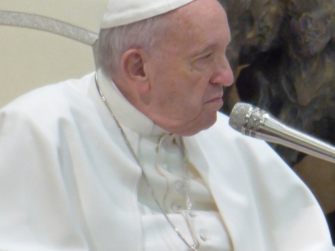 Privatna audijencija kod pape Franje